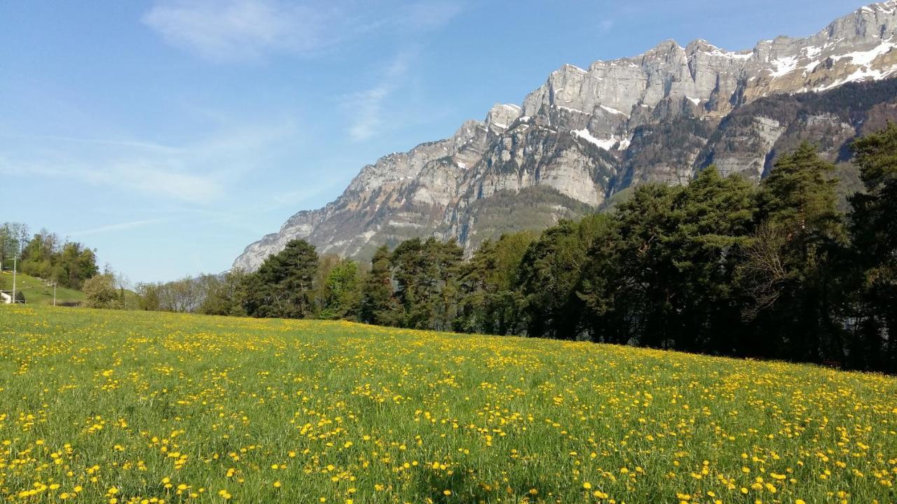 #103 On Walensee *